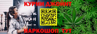 гидра Кинель